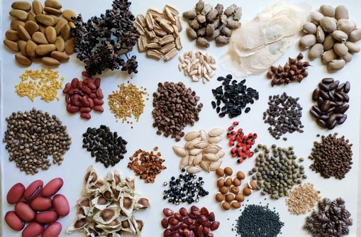 0932bc323eb386724b2b68159556417c 0932bc323eb386724b2b68159556417c